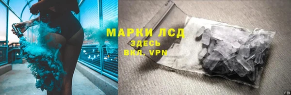 apvp Алзамай