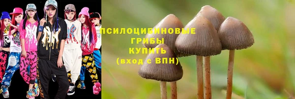 ПСИЛОЦИБИНОВЫЕ ГРИБЫ Алексин