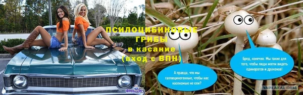 apvp Алзамай