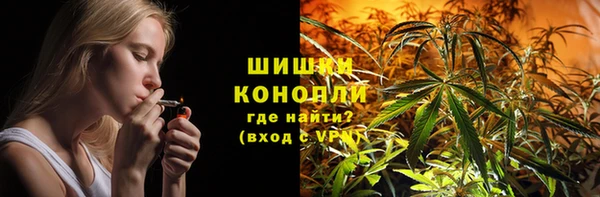 ПСИЛОЦИБИНОВЫЕ ГРИБЫ Алексин