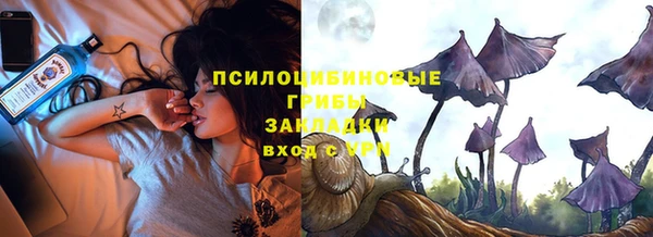 apvp Алзамай